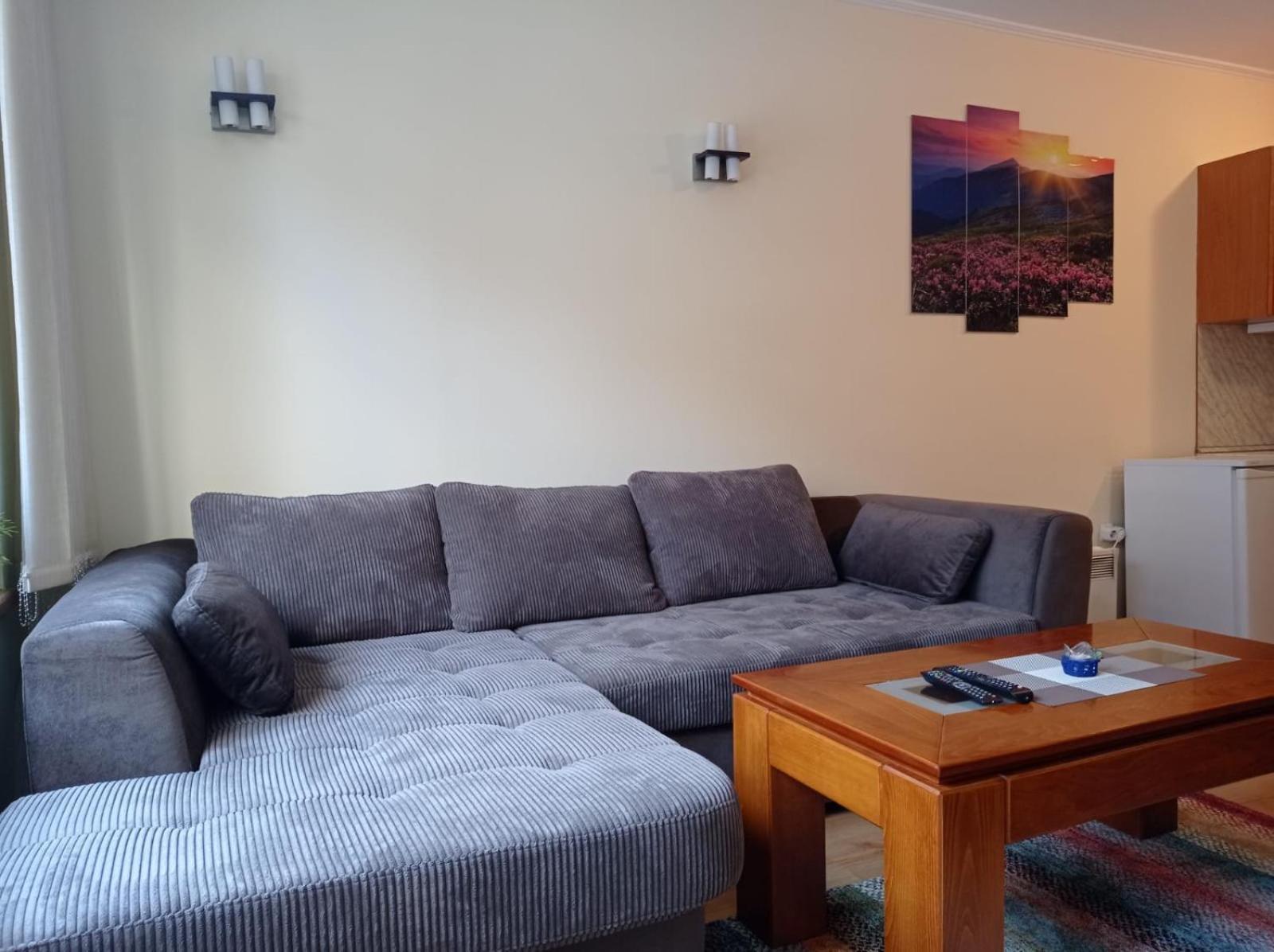 Pine Tree Apartment 3 - B3 班斯科 外观 照片