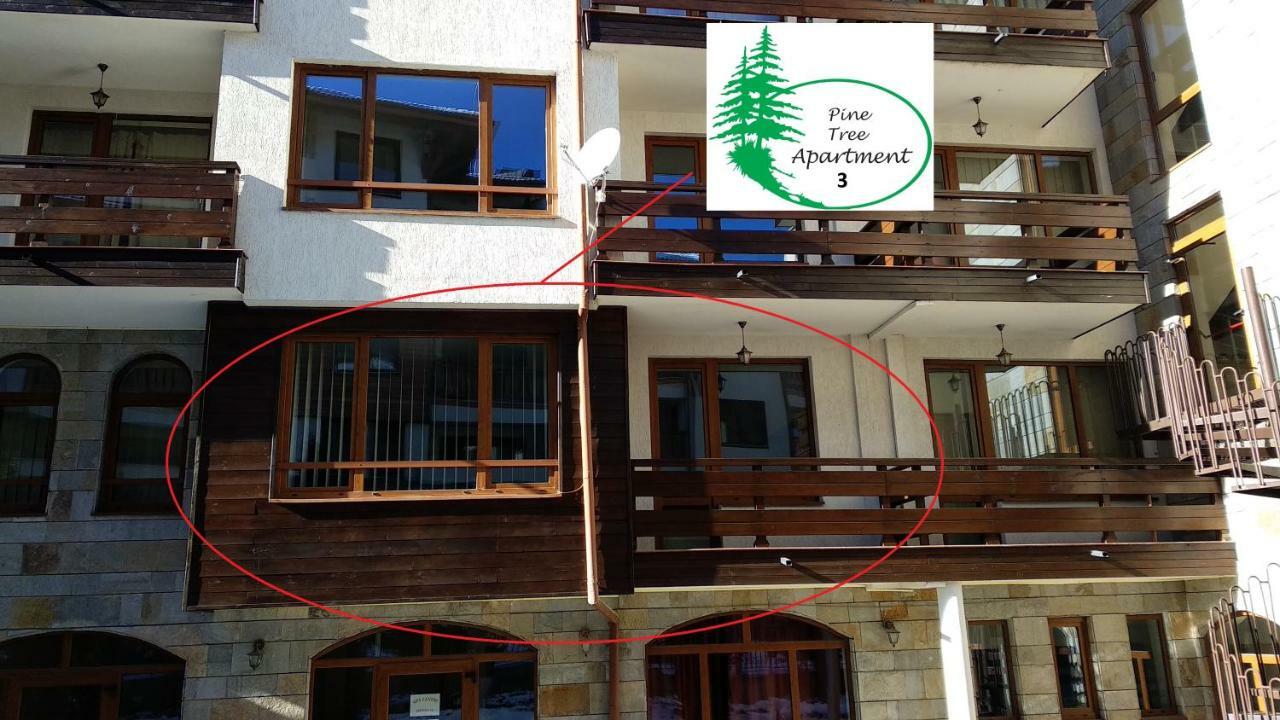 Pine Tree Apartment 3 - B3 班斯科 外观 照片
