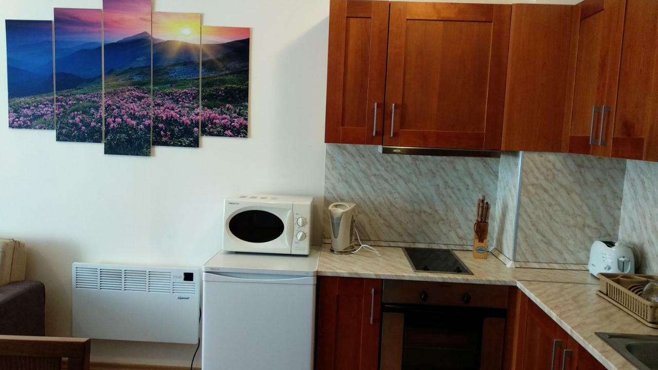 Pine Tree Apartment 3 - B3 班斯科 外观 照片